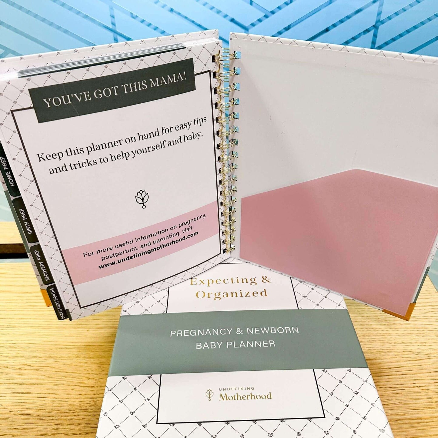 📕Expecting & Organized: Pregnancy Planner & New Baby Organizer(Buy 2 Free Shipping)
